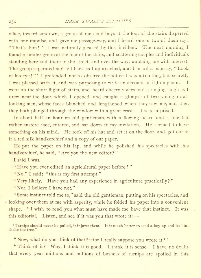 Mark Twain's Sketches, New and Old, p. 234