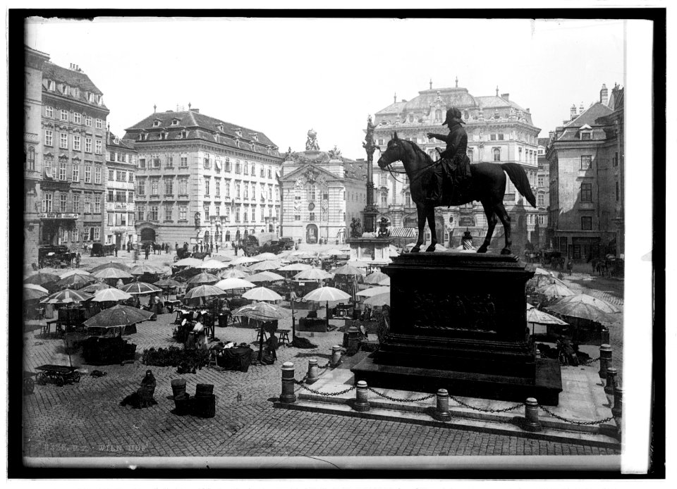 Market place at Vienna, Austria LCCN2016820978