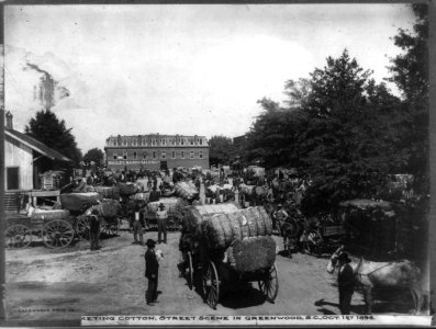 Marketing cotton, street scene in Greenwood, S.C. LCCN2012647872