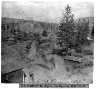 Markleeville, Alpine County-the Main Street LCCN2002721086