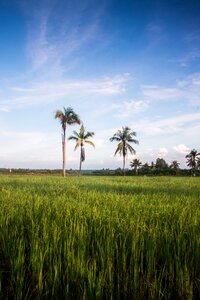 Landscape ternate east indonesia