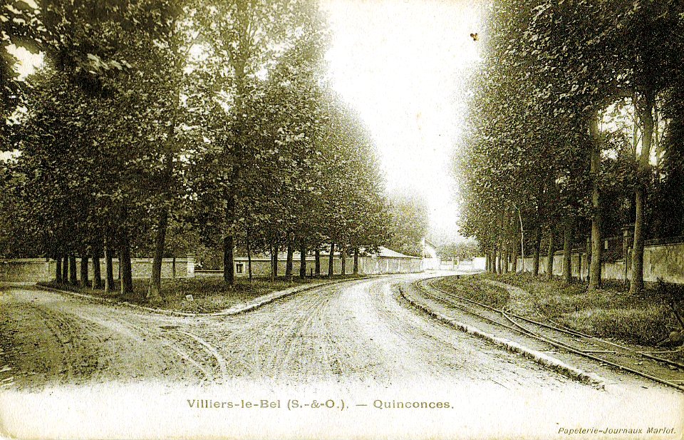 Marlot - VILLIERS-LE-BEL - Quinconces