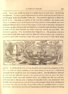 Mark Twain's Sketches, New and Old, p. 195