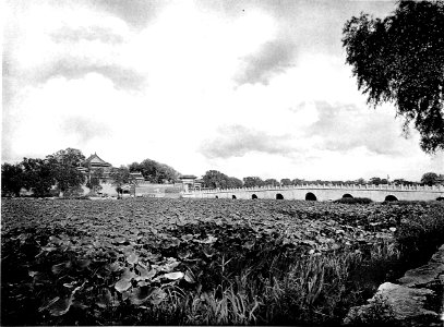 Marmorbrücke im nördlichen Lotosteich photo