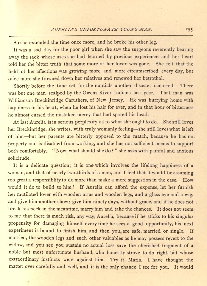 Mark Twain's Sketches, New and Old, p. 255
