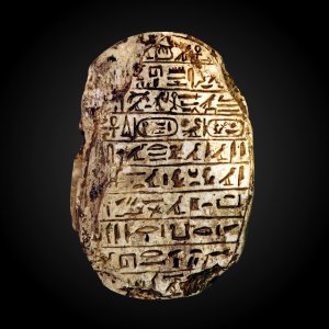 Marriage scarab-MAHG D 1263-P8050318-gradient