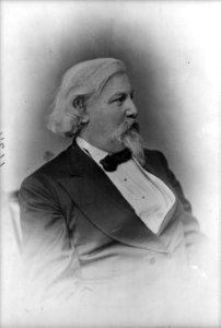Marshall Jewell - Postmaster General LCCN2002725496