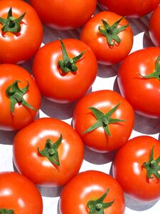 Bio healthy diet red