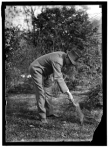 MARSHALL, THOMAS RILEY. GOVERNOR OF INDIANA, 1909-1913; VICE PRESIDENT OF THE UNITED STATES, 1913-1921 LCCN2016865028