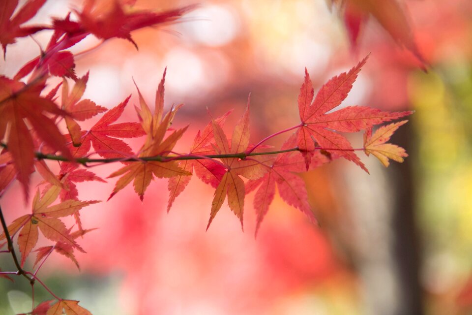 Fall season outdoors