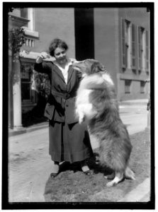 MARTIN, ANNE HENRIETTA. NATIONAL CHAIRMAN, NATIONAL WOMEN PARTY, 1926-. WITH SENATOR COLLIE LCCN2016868976
