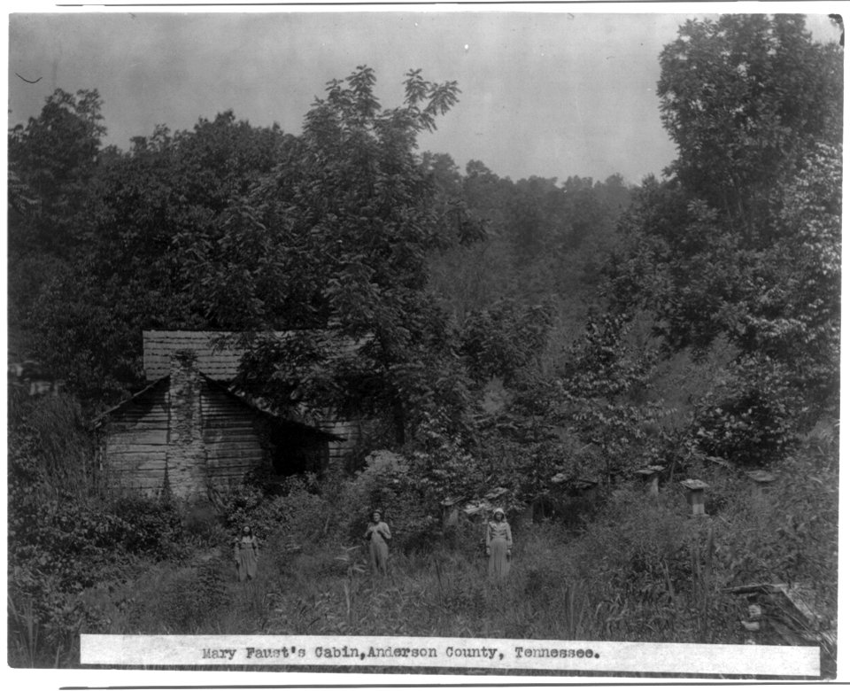 Mary Faust's cabin, Anderson County, Tennessee. Man and two women standing outside log cabin, which is surrounded by a heavy growth of vegetation LCCN2006683530