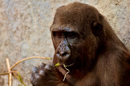 Zoo hellabrunn feed photo