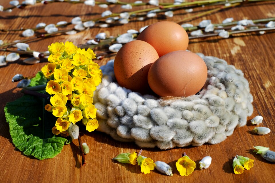 Brown easter nest nest