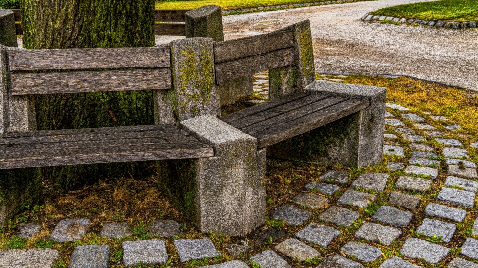 Wooden bench park bench relax photo