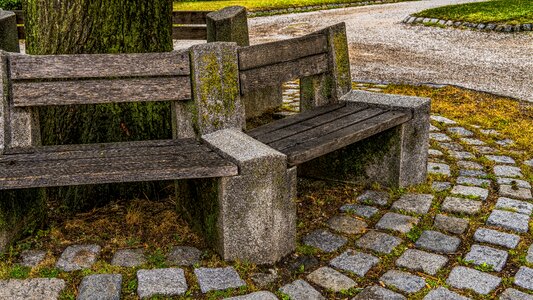 Wooden bench park bench relax photo