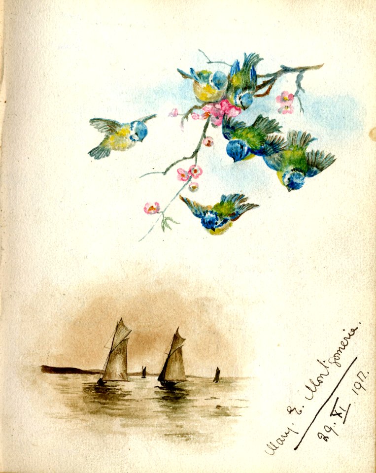 Mary E Montgomerie