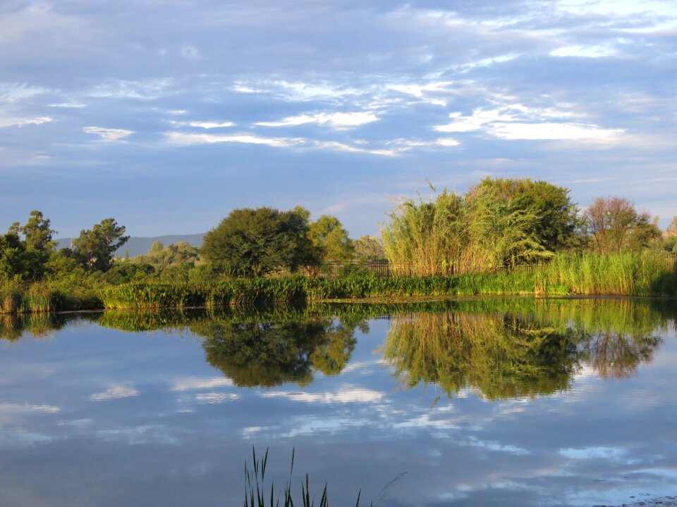 Water water level nature