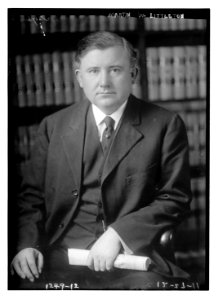 Martin W. Littleton LCCN2014686479