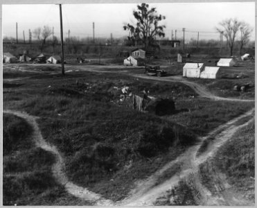 Marysville, Yuba County, California. Another view of squatter camp of 52 agricultural worker familie . . . - NARA - 521740 photo