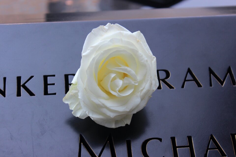 September memorial rose