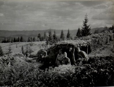 Maschinegewehrstand des J.R.93 Tlocznya im Hintergrund Vorfeld Brody Sept.16 (BildID 15453032)