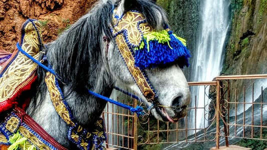 The mane waterfall morocco