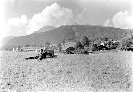 Maschinengewehr mit Schildlafette vor dem Dorf Grindelwald - CH-BAR - 3240878