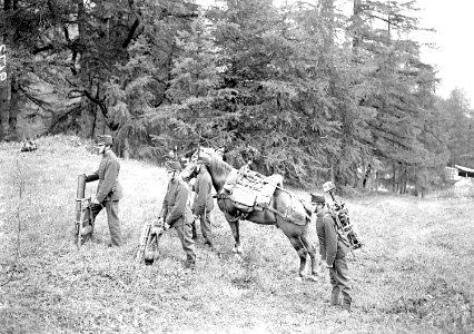 Maschinengewehr wird auf die Soldaten verteilt - CH-BAR - 3238811