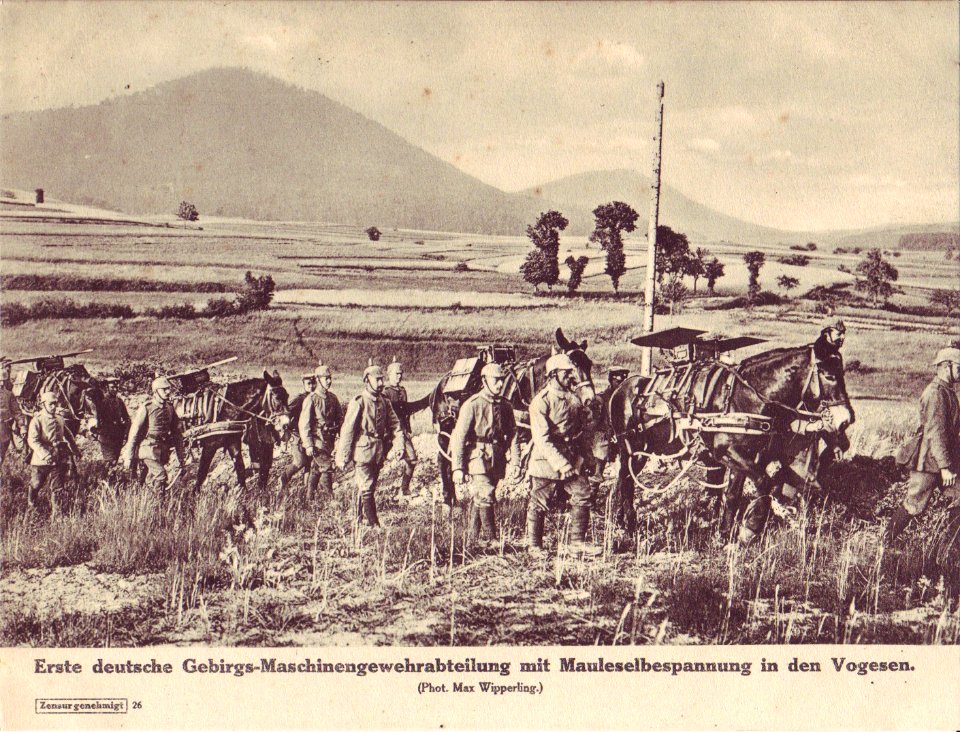 Maschinengewehrabteilung