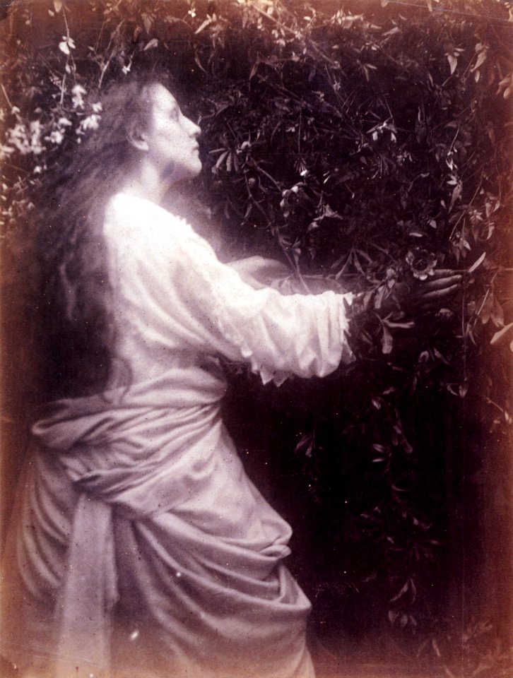 Mary Ann Hillier, by Julia Margaret Cameron