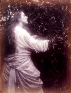 Mary Ann Hillier, by Julia Margaret Cameron