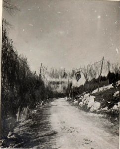 Maskierte Strasse im Wippachtal.30.8.17. (BildID 15600578)