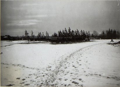 Maskierter Train in Sitno. (BildID 15691041)
