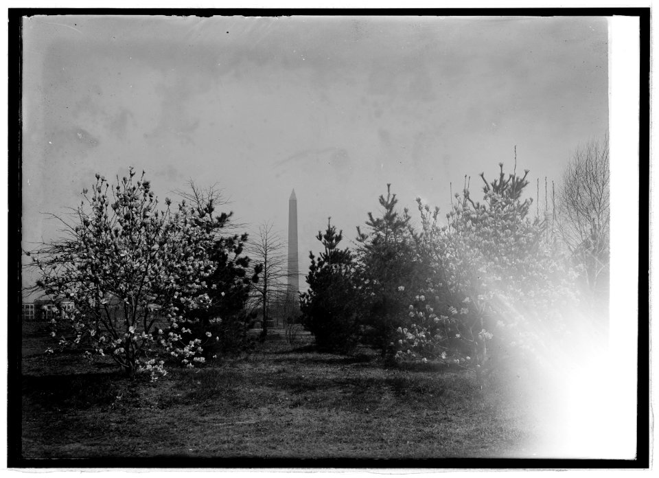 Monument, 3-18-21 LCCN2016845002