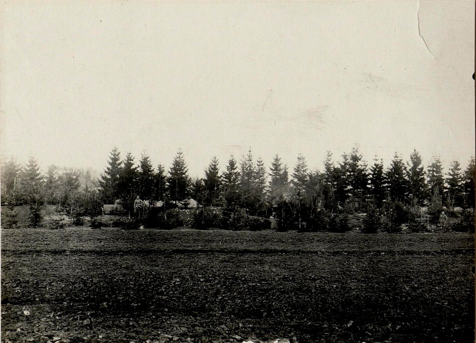 Maskierte Feldkanonen Batterie, Ansicht gegen den Feind. Aufgenommen am 10. IV. 1916. 15.ITD. (BildID 15536968)