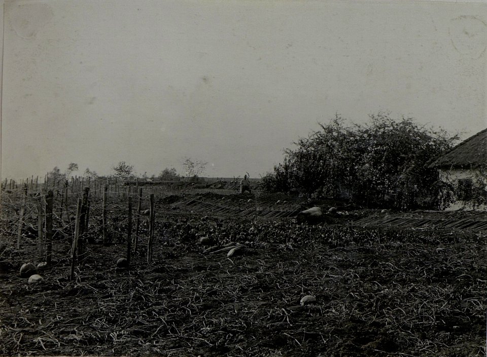 Maskierte Schützengraben 2. des zweiten Bataillons des 84. Infanterieregimentes bei Podluze (BildID 15441943)