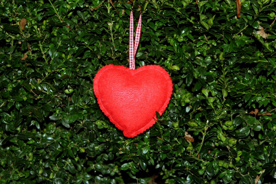 Valentine's day emotions green