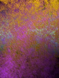 Magenta gold lavender