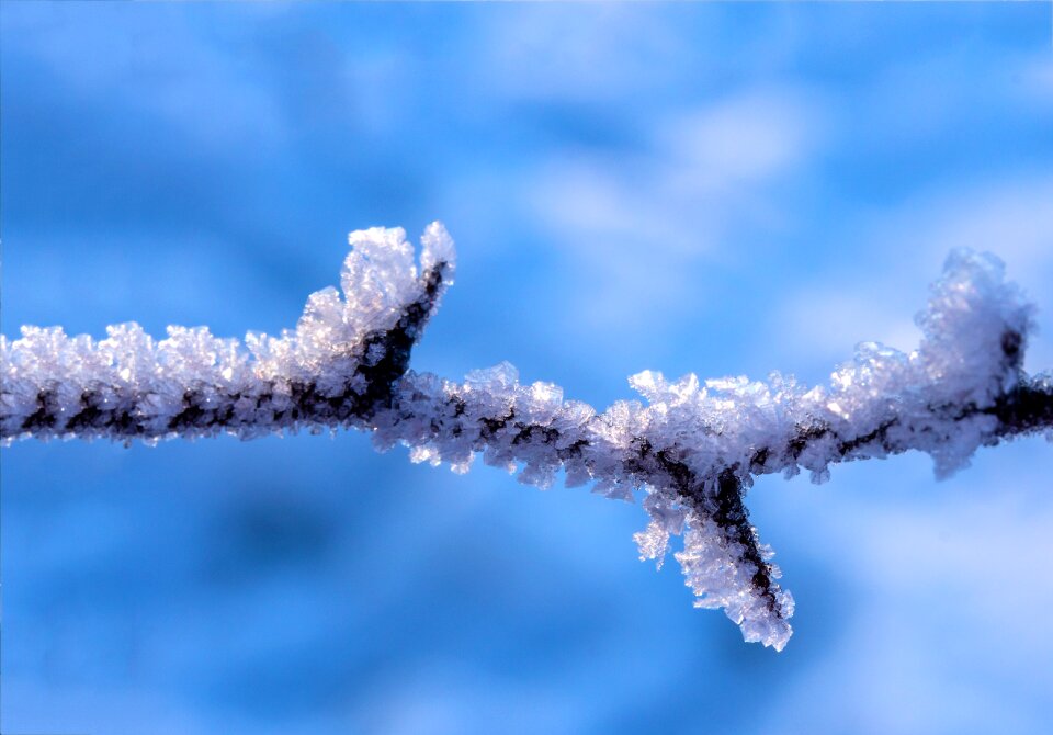 Winter crystal formation snow