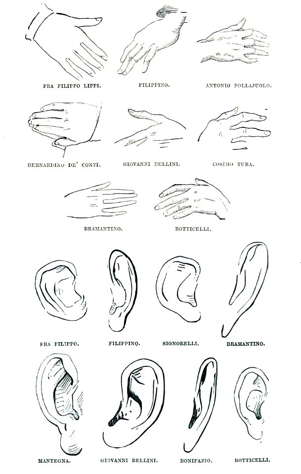 Morelli Hands and Ears