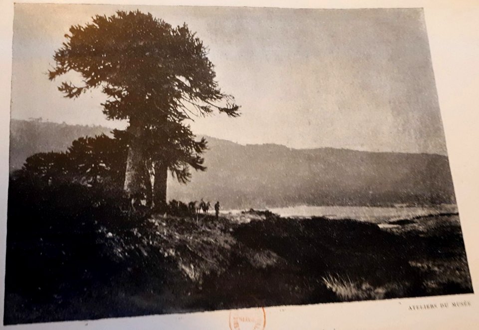 Moreno - Reconnaissance de la région andine, 1897 (page 195 crop)