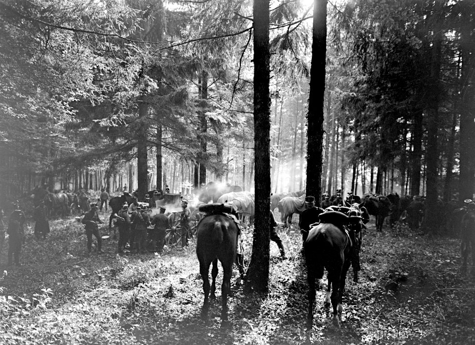 Morgenverpflegung einer Schwadron im Wald - CH-BAR - 3239116