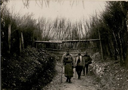 Maskierter Weg Kote 178 an der Strasse St.Lucia-Tolmein zu den Unterständen in Tolmein am Rido (BildID 15735817)
