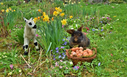Easter easter bunny passover