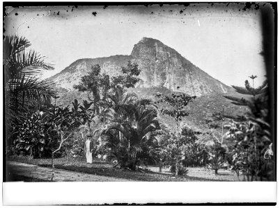 Morro do Corcovado a partir do Jardim Botânico - 1
