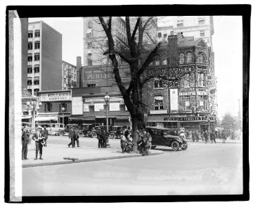 Morse Elm, 5-13-21 LOC npcc.04162