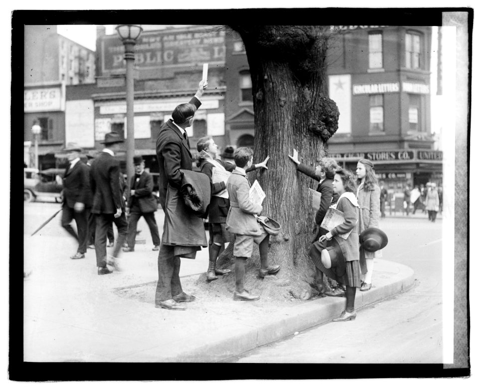 Morse Elm LOC npcc.04163