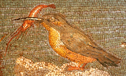 Mosaic dels peixos2