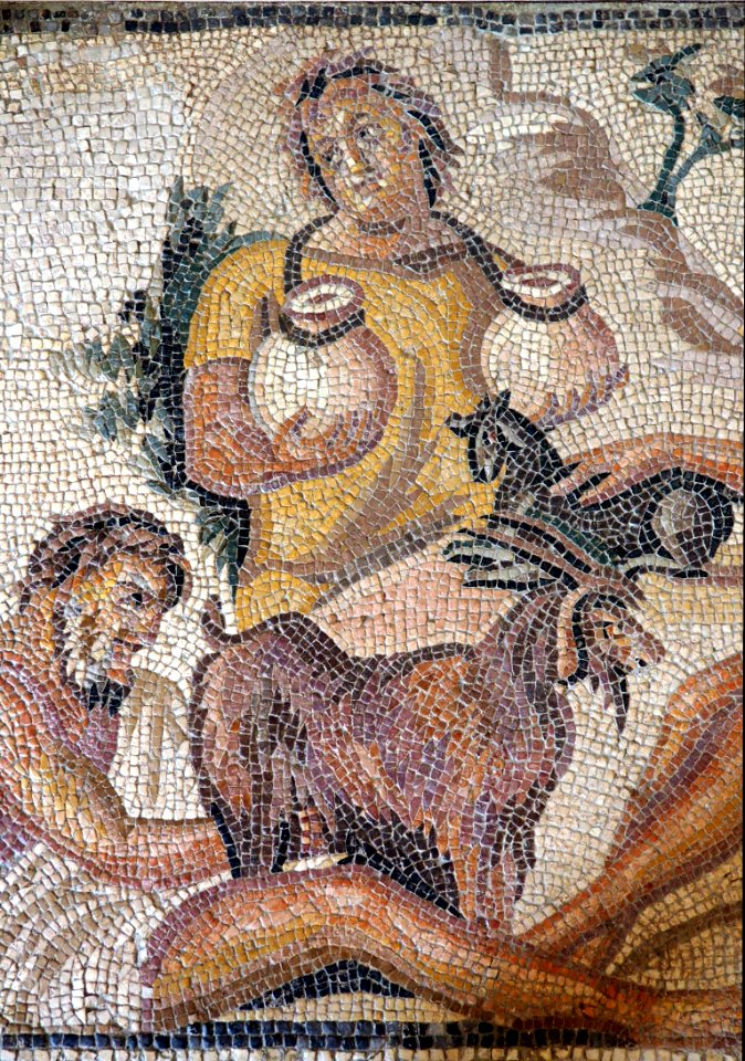 Mosaic of a pastoral scene-Inv 27747-P8190052